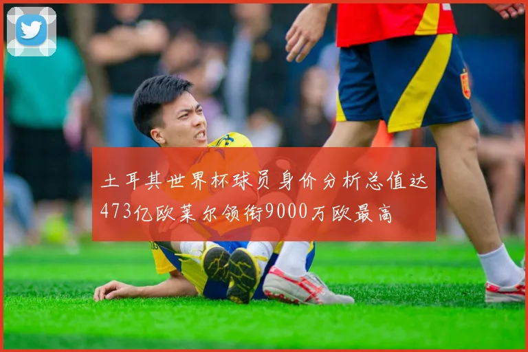 土耳其世界杯球员身价分析总值达473亿欧莱尔领衔9000万欧最高